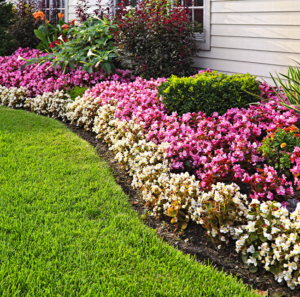 Turf Care Property Maintenance Inc photo 8